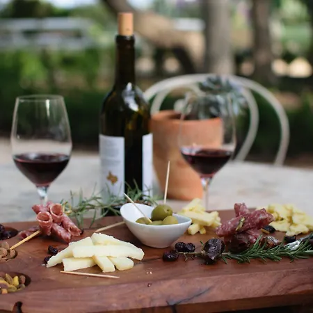 Terra * Racicki Brijeg